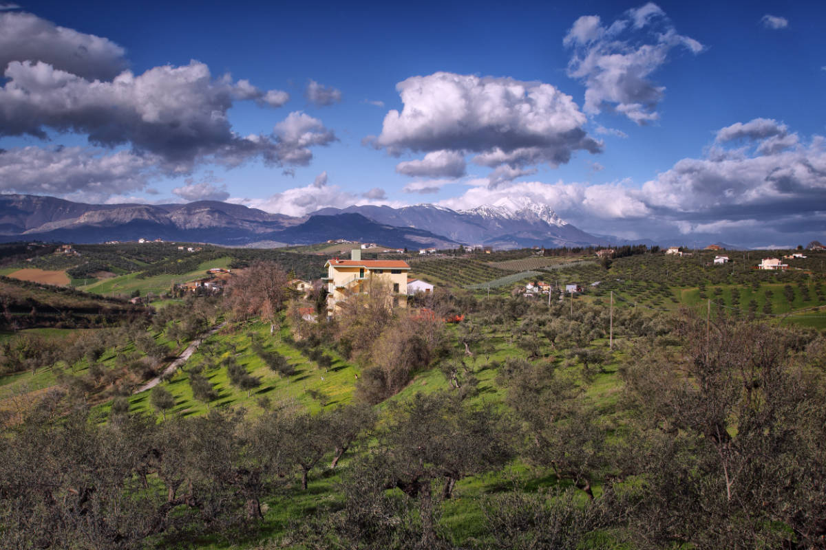 Azienda